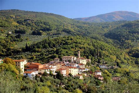 Tourist guide for Pelago: what to see in the picturesque Tuscan 